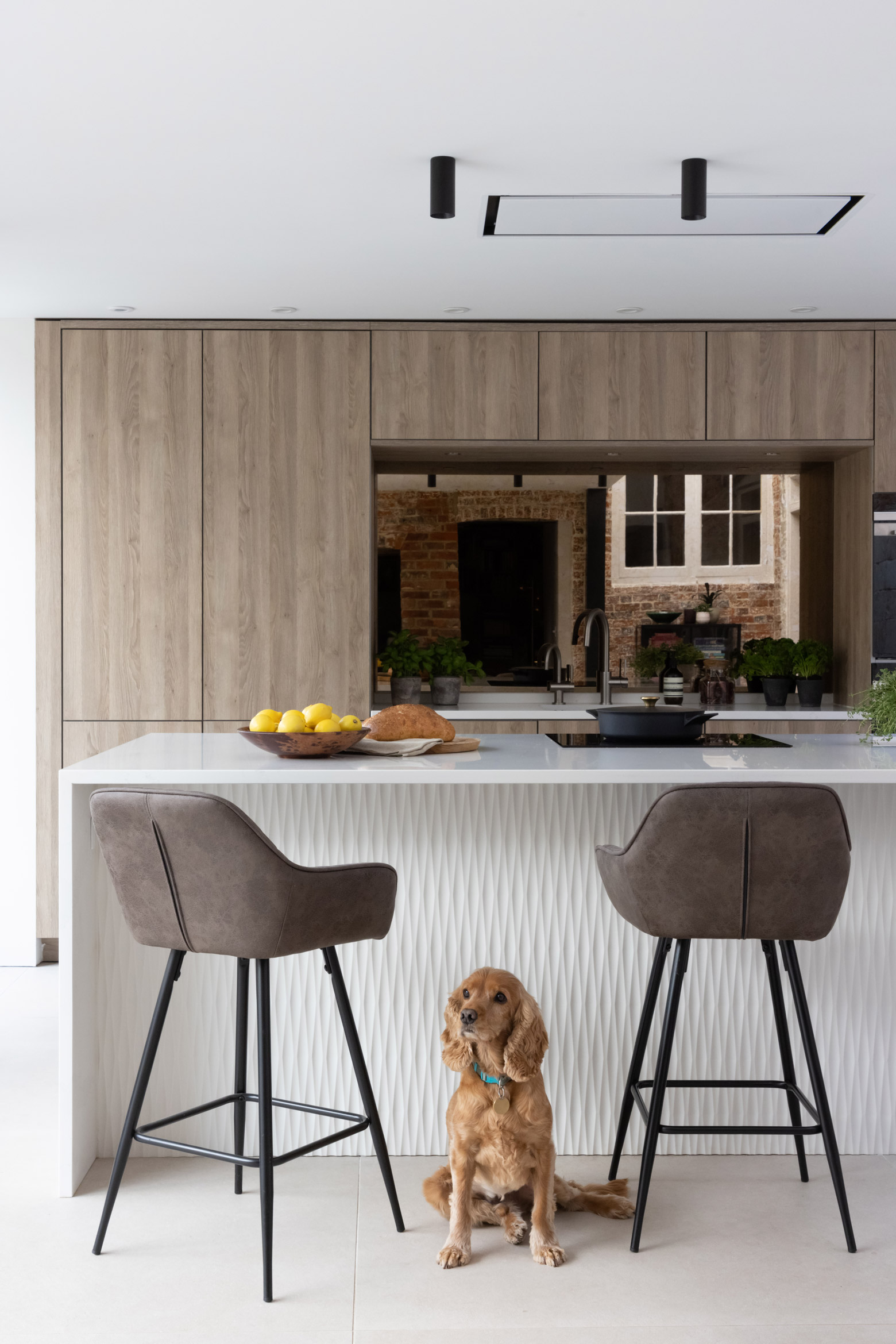 Dog in Kitchen | The Myers Touch